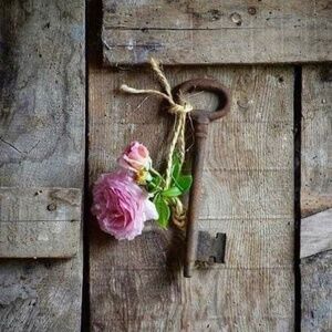 My Daughter's Closet @ldactx 💠 OVER 300 WESTERN LISTINGS